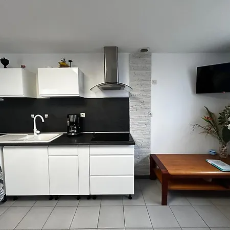 Daire T2 Avec Jardin, Terrasse Et Wifi A 1km Des Thermes - Fr-1-541-156 *