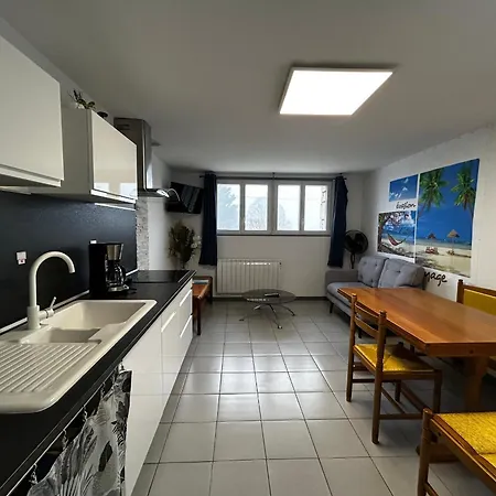T2 Avec Jardin, Terrasse Et Wifi A 1km Des Thermes - Fr-1-541-156 * La Roche-Posay