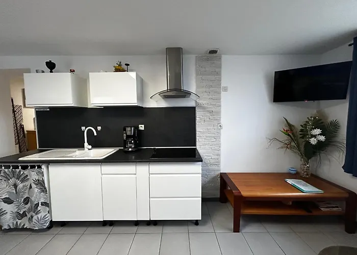 Apartamento T2 Avec Jardin, Terrasse Et Wifi A 1km Des Thermes - Fr-1-541-156 *