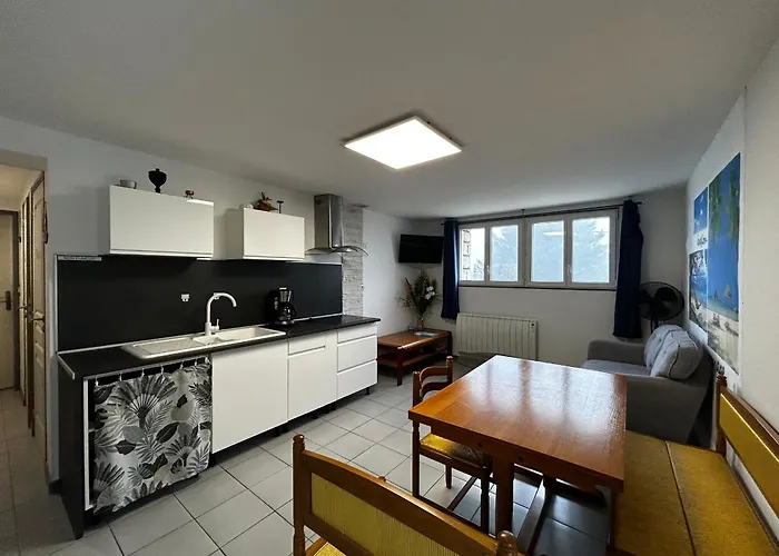 T2 Avec Jardin, Terrasse Et Wifi A 1km Des Thermes - Fr-1-541-156 * La Roche-Posay