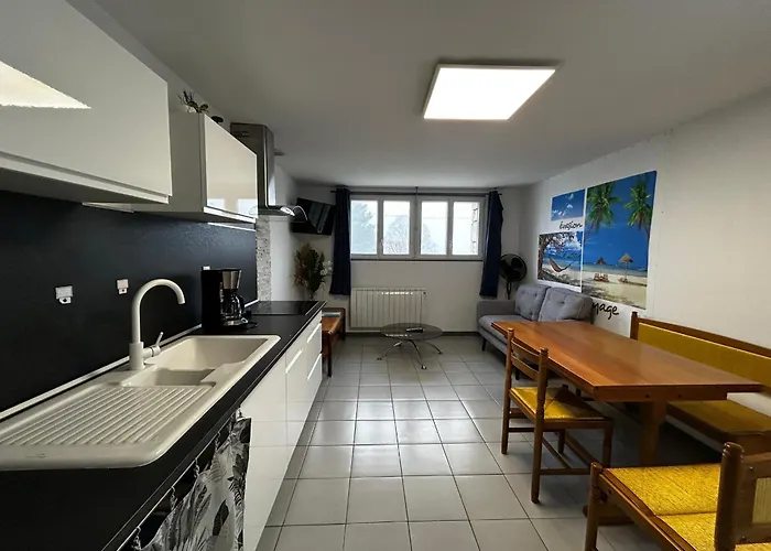 T2 Avec Jardin, Terrasse Et Wifi A 1km Des Thermes - Fr-1-541-156 * La Roche-Posay